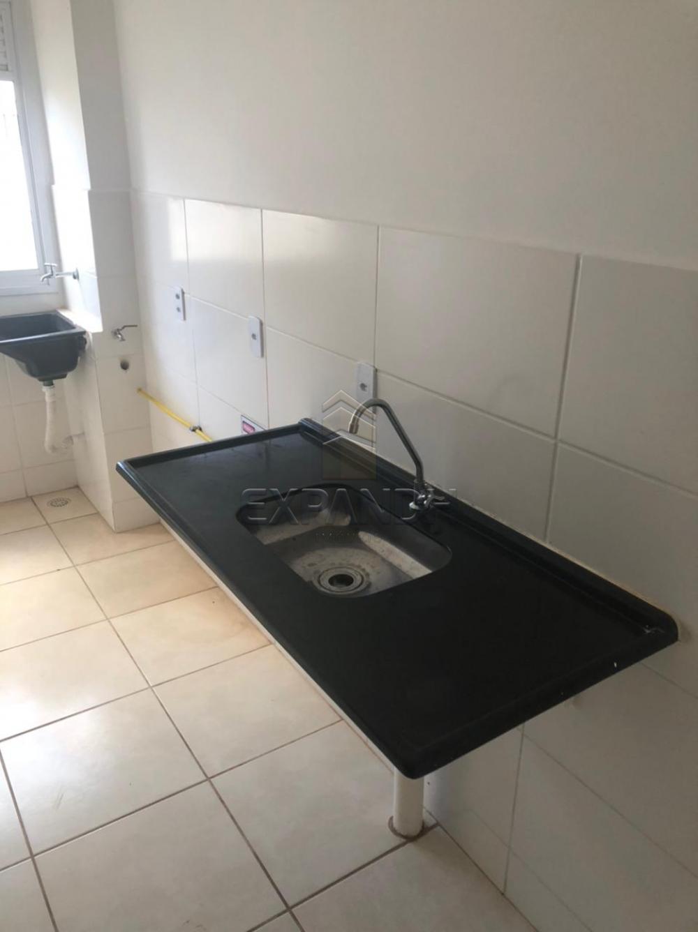 Alugar Apartamentos / Padrão em Sertãozinho R$ 550,00 - Foto 4 Alugar Apartamentos / Padrão em Sertãozinho R$ 550,00 - Foto 4