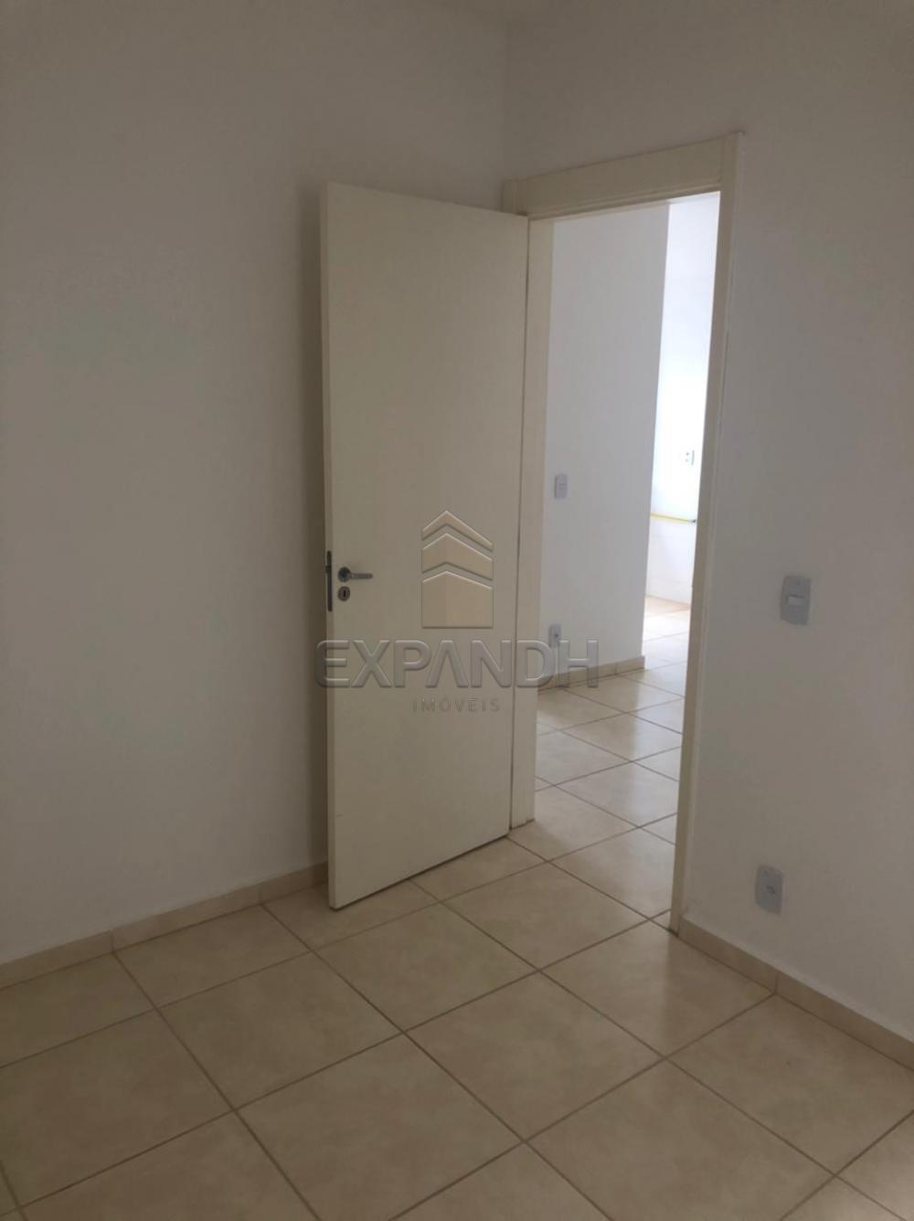 Alugar Apartamentos / Padrão em Sertãozinho R$ 550,00 - Foto 7 Alugar Apartamentos / Padrão em Sertãozinho R$ 550,00 - Foto 7