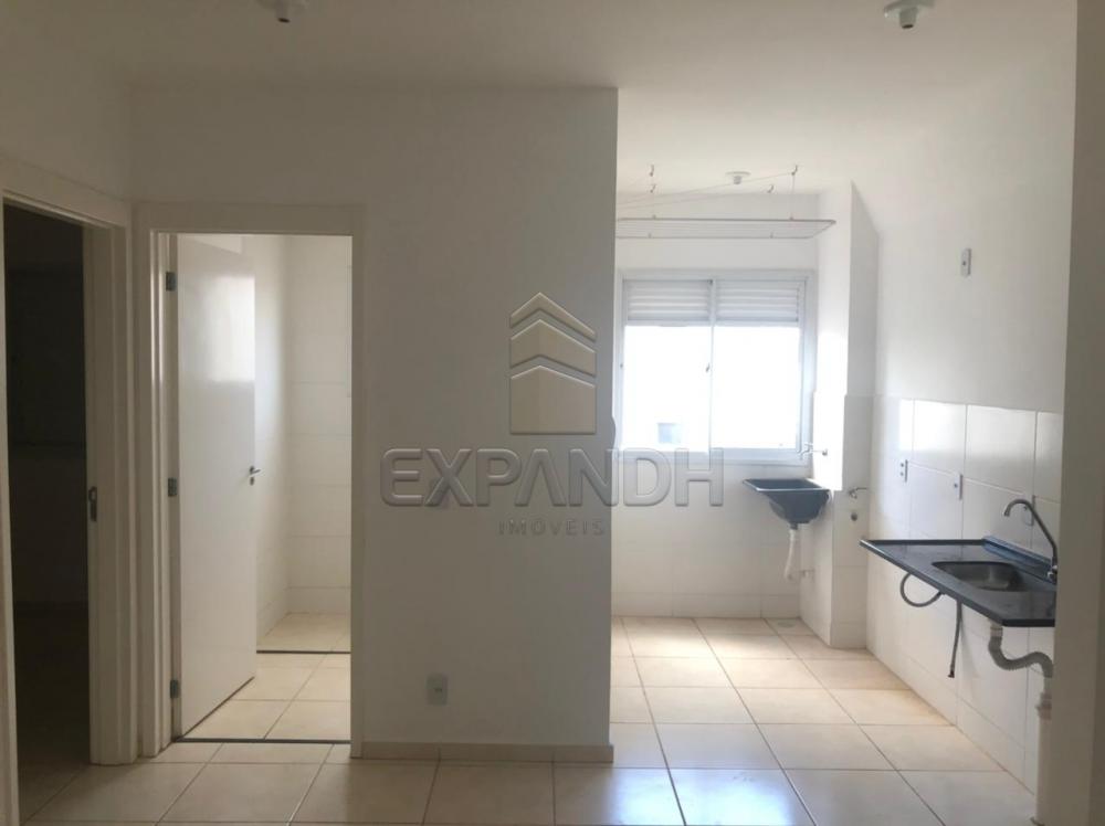 Alugar Apartamentos / Padrão em Sertãozinho R$ 550,00 - Foto 11 Alugar Apartamentos / Padrão em Sertãozinho R$ 550,00 - Foto 11