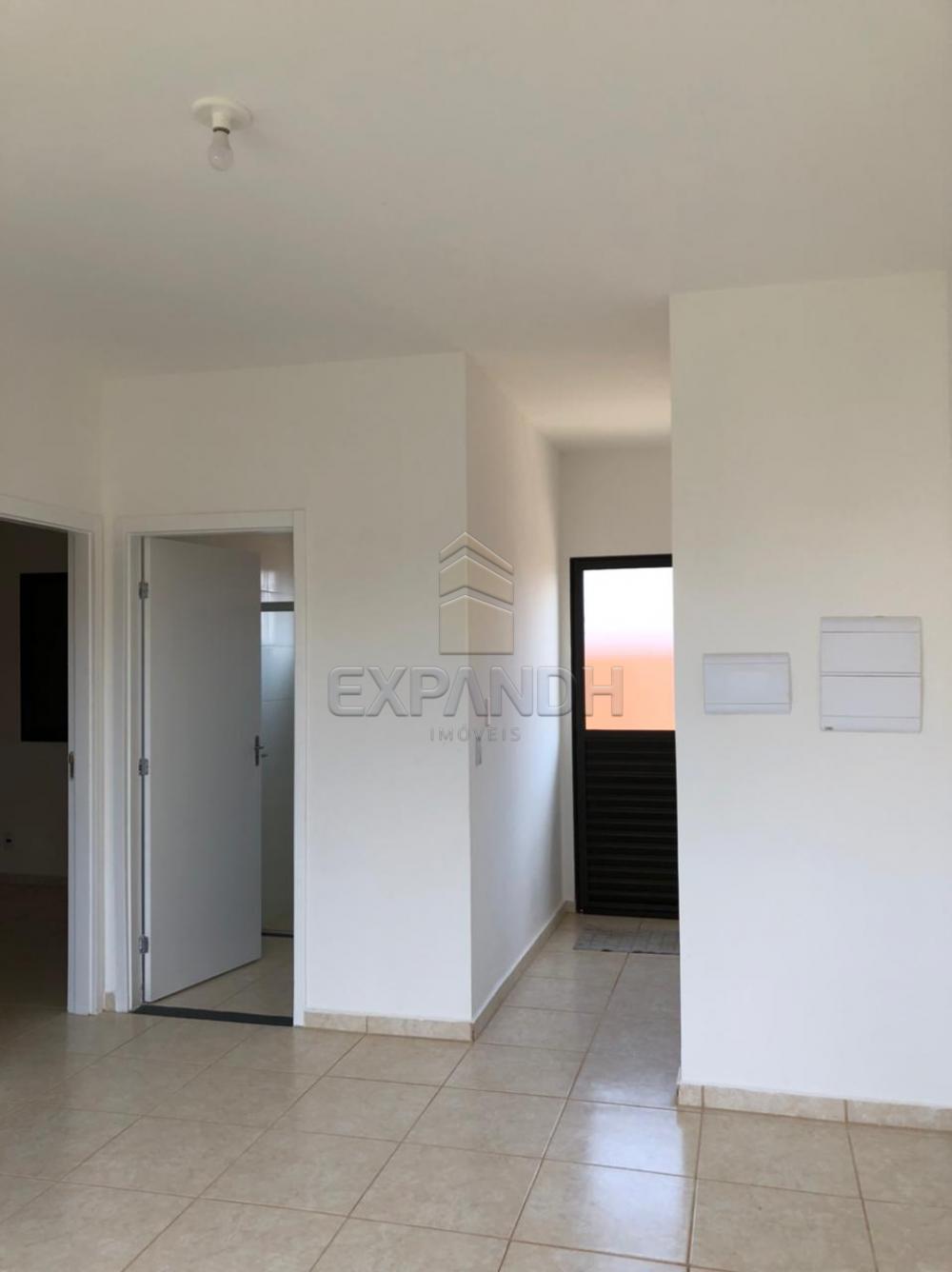 Alugar Casas / Padrão em Sertãozinho R$ 850,00 - Foto 3 Alugar Casas / Padrão em Sertãozinho R$ 850,00 - Foto 3