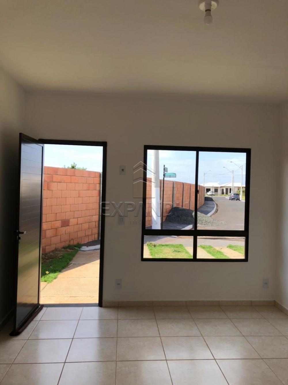 Alugar Casas / Padrão em Sertãozinho R$ 850,00 - Foto 5 Alugar Casas / Padrão em Sertãozinho R$ 850,00 - Foto 5