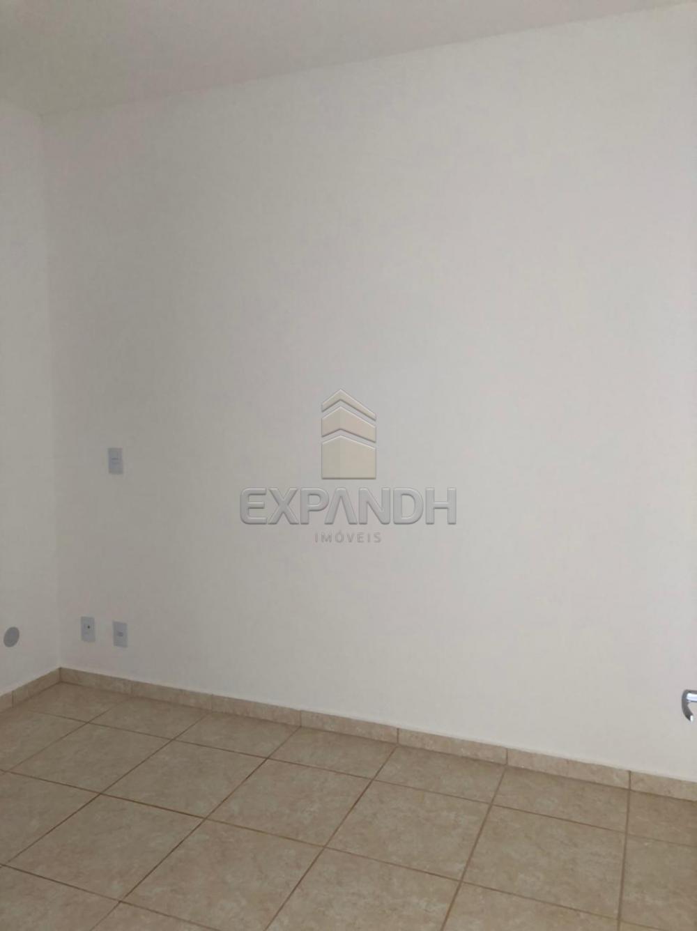 Alugar Casas / Padrão em Sertãozinho R$ 850,00 - Foto 6 Alugar Casas / Padrão em Sertãozinho R$ 850,00 - Foto 6