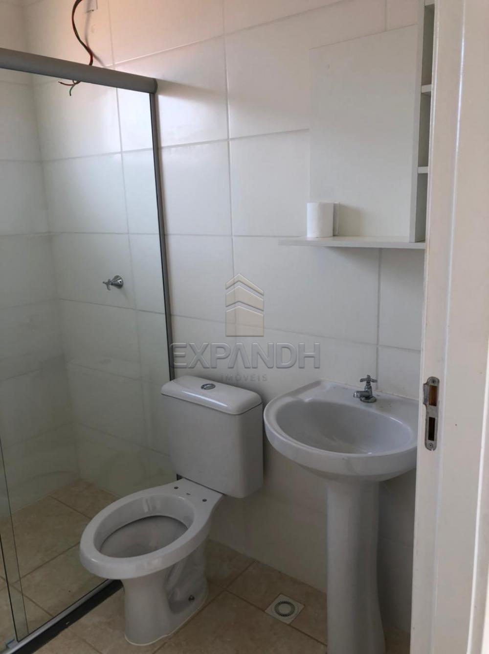 Alugar Casas / Padrão em Sertãozinho R$ 850,00 - Foto 8 Alugar Casas / Padrão em Sertãozinho R$ 850,00 - Foto 8