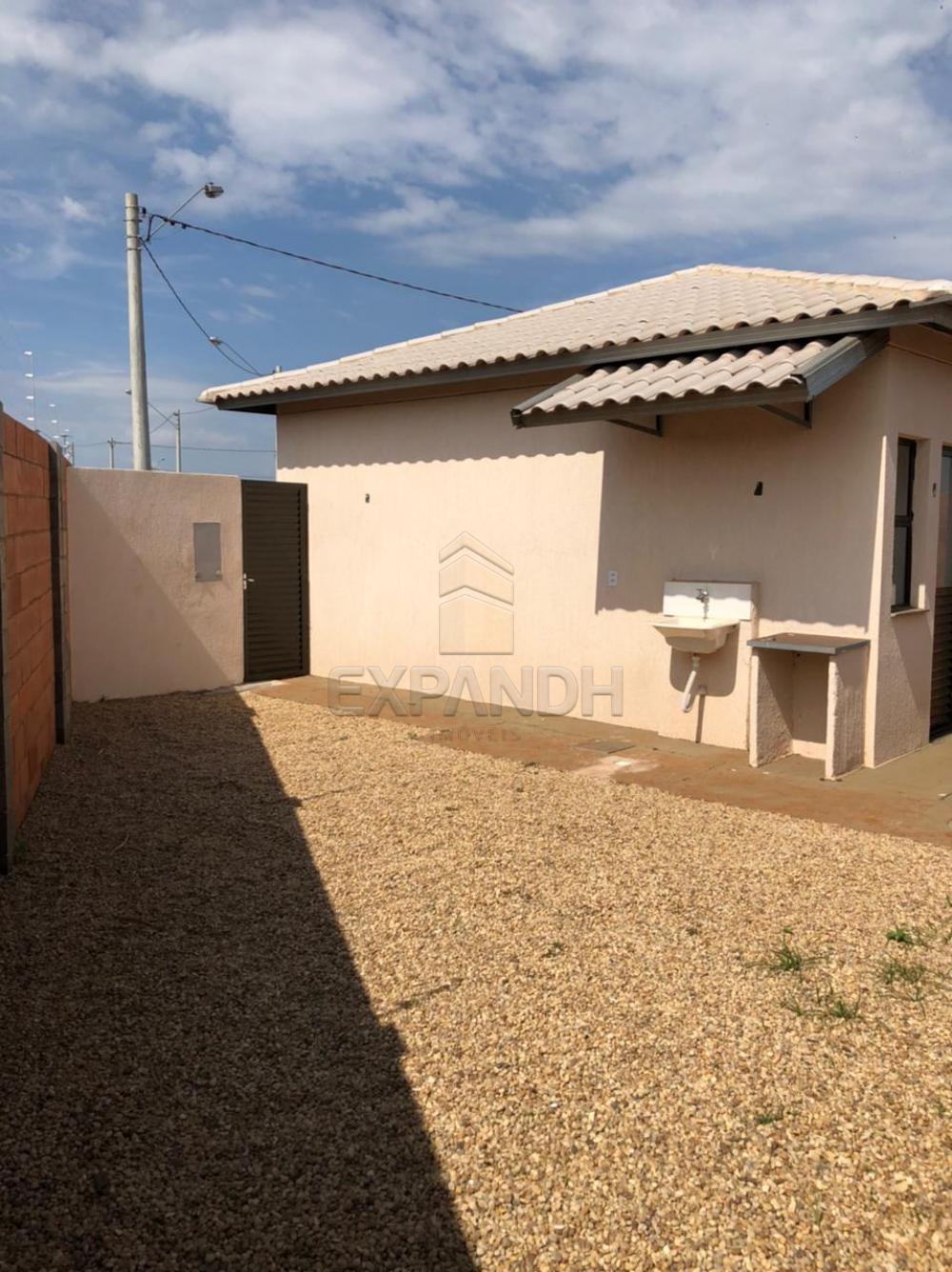Alugar Casas / Padrão em Sertãozinho R$ 850,00 - Foto 12 Alugar Casas / Padrão em Sertãozinho R$ 850,00 - Foto 12