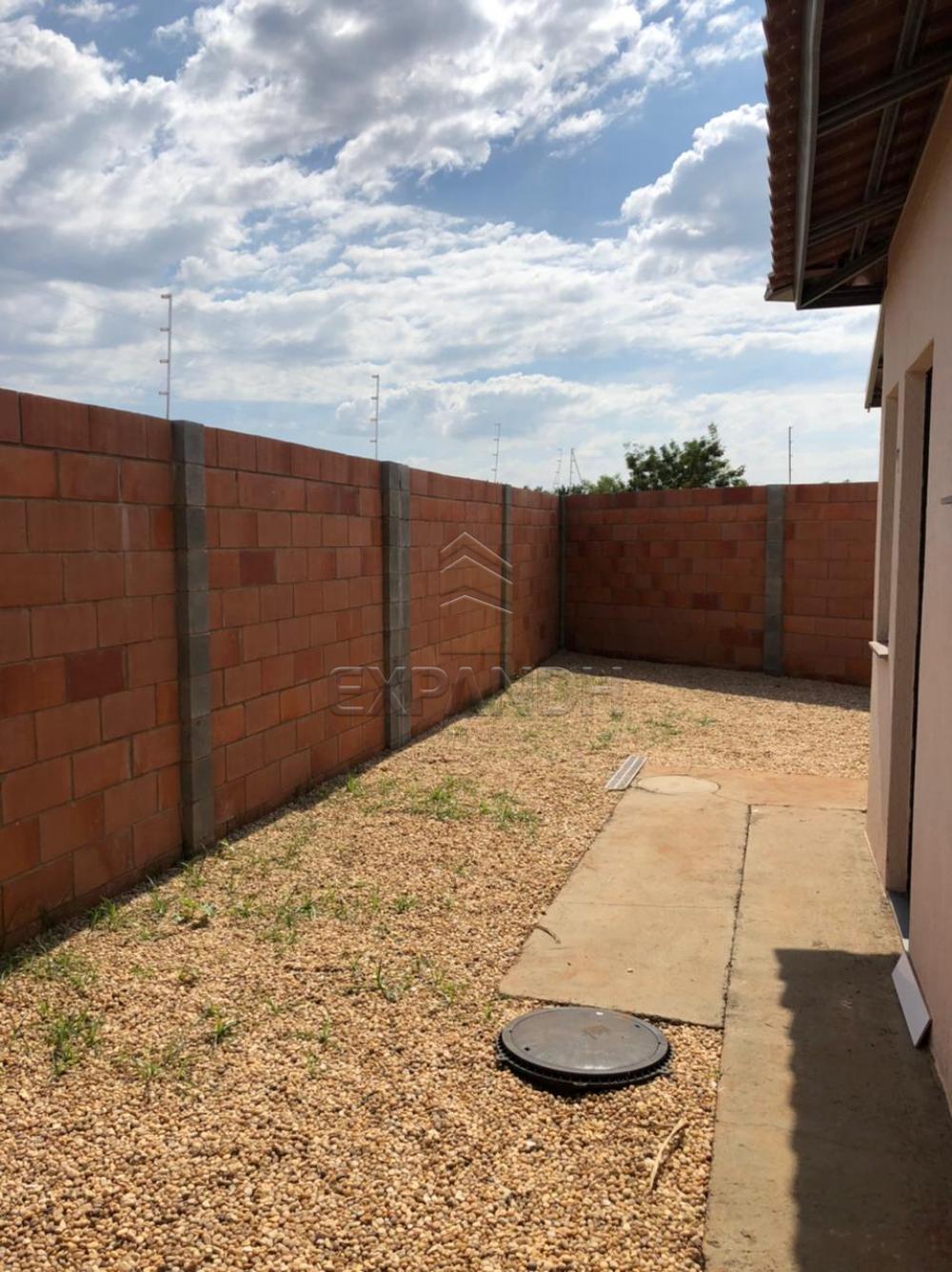 Alugar Casas / Padrão em Sertãozinho R$ 850,00 - Foto 13 Alugar Casas / Padrão em Sertãozinho R$ 850,00 - Foto 13