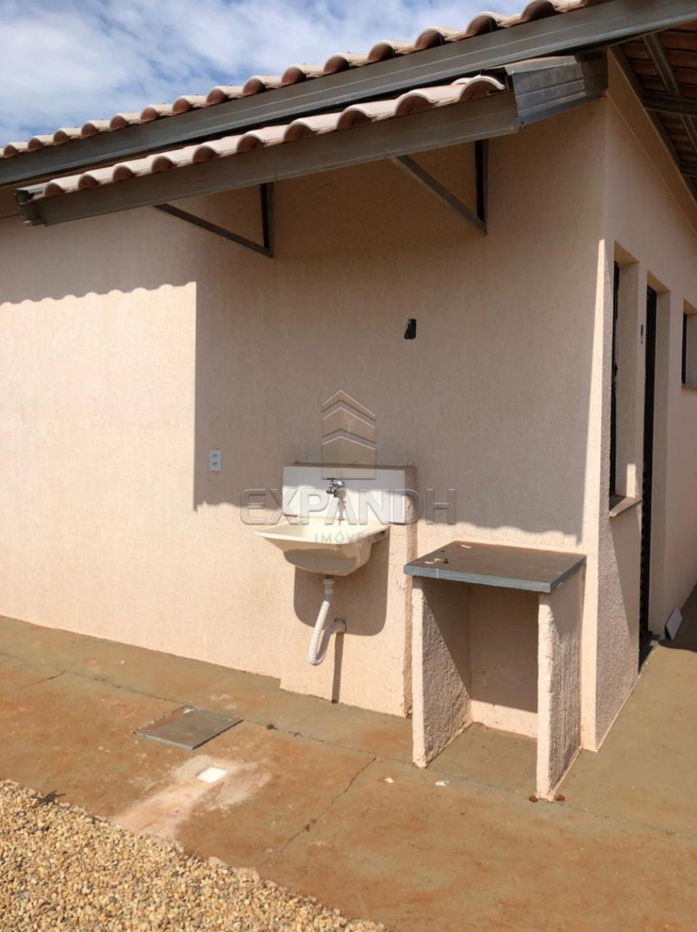 Alugar Casas / Padrão em Sertãozinho R$ 850,00 - Foto 14 Alugar Casas / Padrão em Sertãozinho R$ 850,00 - Foto 14