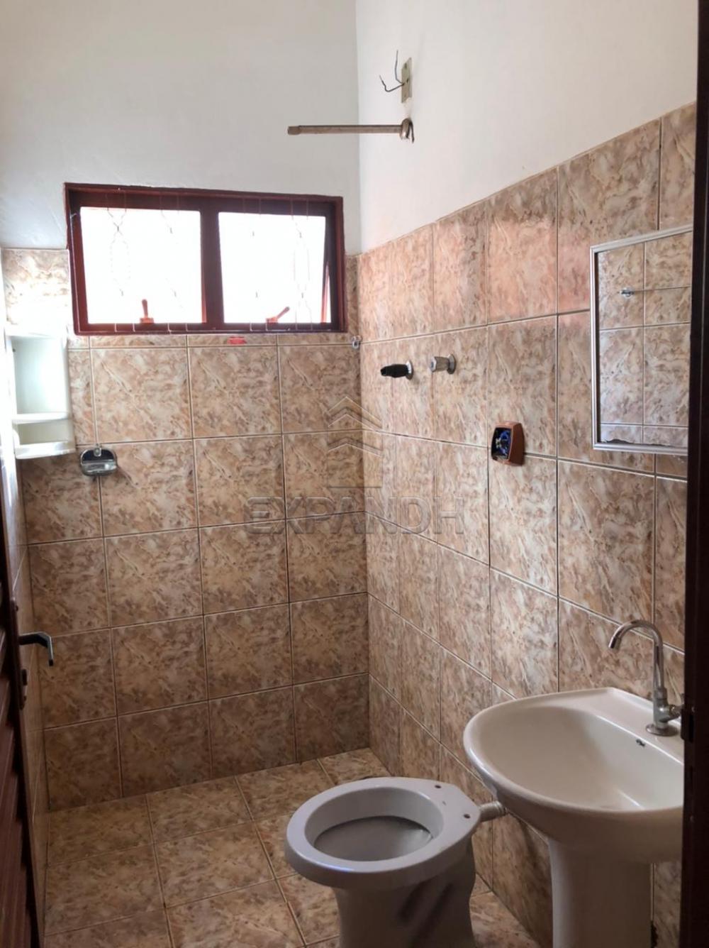 Alugar Casas / Padrão em Sertãozinho R$ 600,00 - Foto 9 Alugar Casas / Padrão em Sertãozinho R$ 600,00 - Foto 9