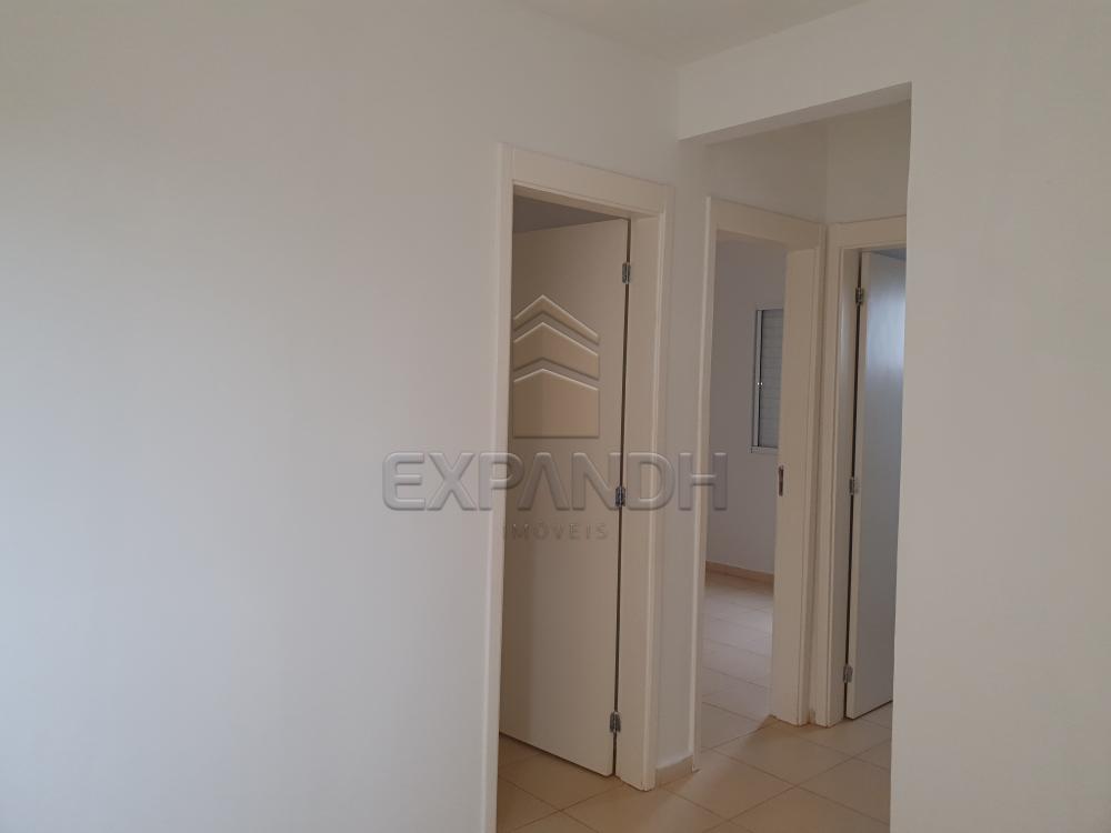 Alugar Apartamentos / Padrão em Sertãozinho R$ 850,00 - Foto 4 Alugar Apartamentos / Padrão em Sertãozinho R$ 850,00 - Foto 4