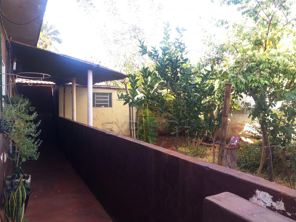 Comprar Casas / Padrão em Sertãozinho R$ 495.000,00 - Foto 3 Comprar Casas / Padrão em Sertãozinho R$ 495.000,00 - Foto 3