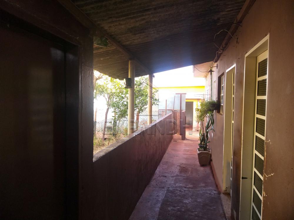 Comprar Casas / Padrão em Sertãozinho R$ 495.000,00 - Foto 6 Comprar Casas / Padrão em Sertãozinho R$ 495.000,00 - Foto 6