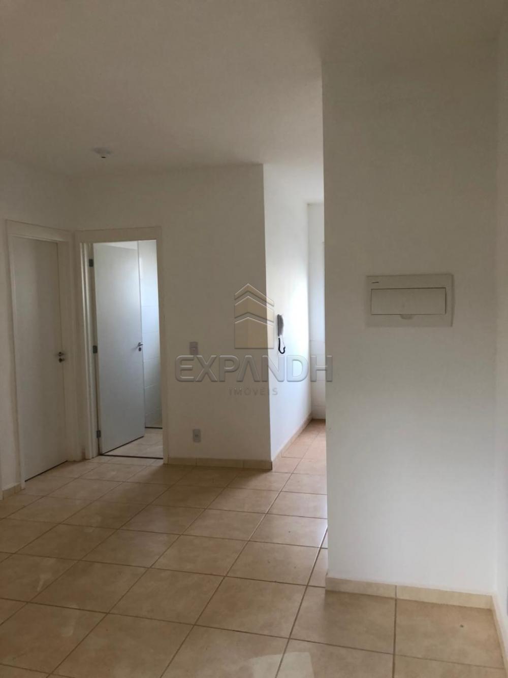 Alugar Apartamentos / Padrão em Sertãozinho R$ 750,00 - Foto 2 Alugar Apartamentos / Padrão em Sertãozinho R$ 750,00 - Foto 2