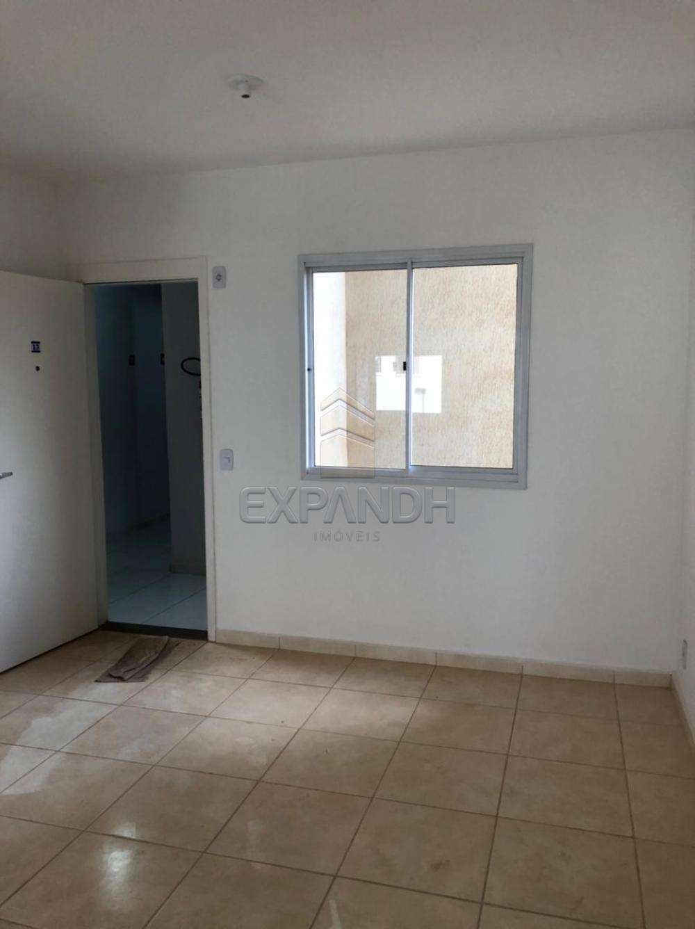 Alugar Apartamentos / Padrão em Sertãozinho R$ 750,00 - Foto 3 Alugar Apartamentos / Padrão em Sertãozinho R$ 750,00 - Foto 3