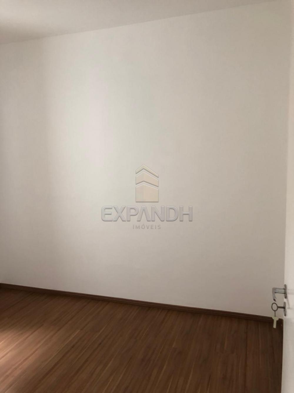 Alugar Apartamentos / Padrão em Sertãozinho R$ 750,00 - Foto 7 Alugar Apartamentos / Padrão em Sertãozinho R$ 750,00 - Foto 7