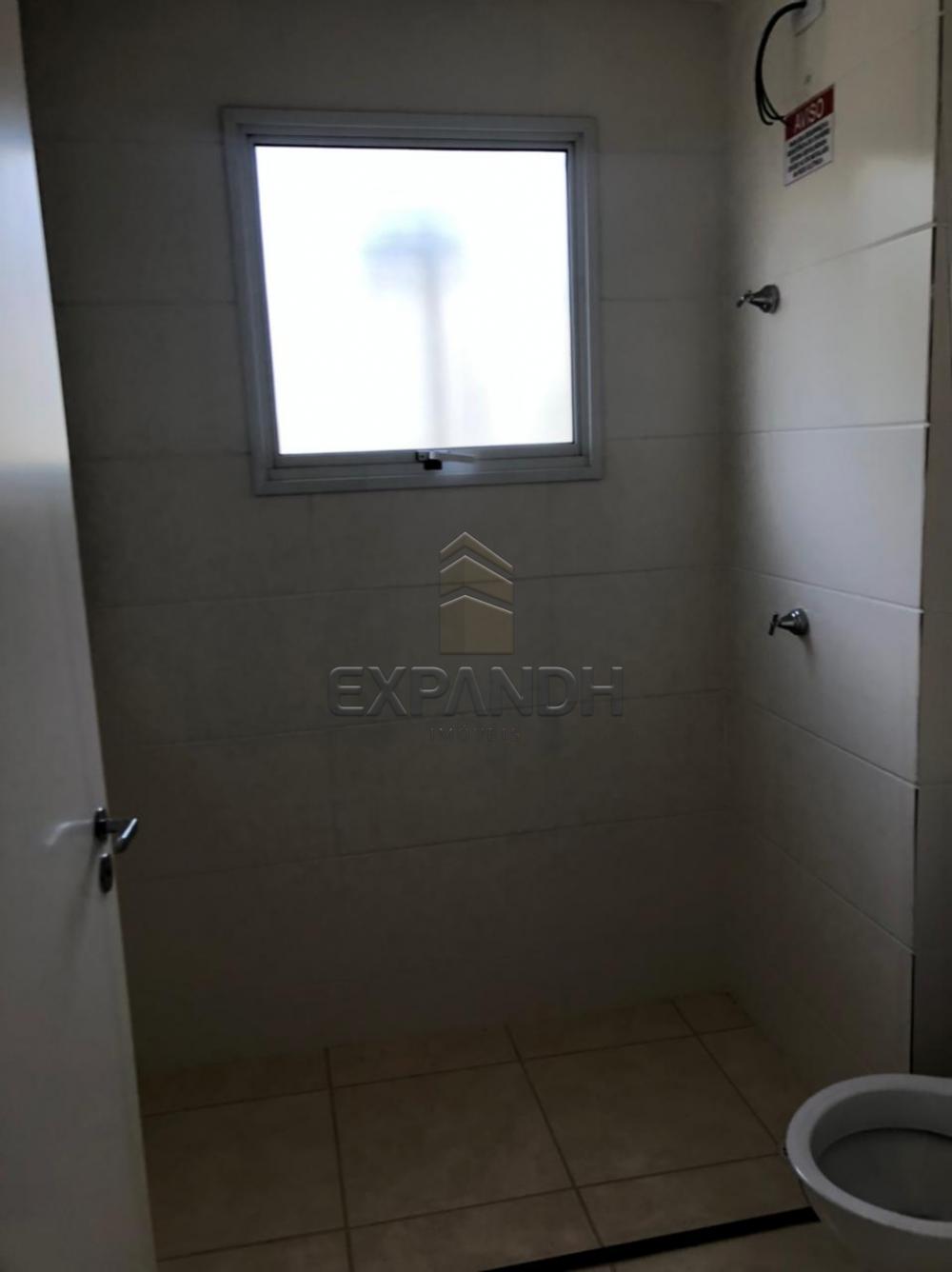 Alugar Apartamentos / Padrão em Sertãozinho R$ 750,00 - Foto 9 Alugar Apartamentos / Padrão em Sertãozinho R$ 750,00 - Foto 9
