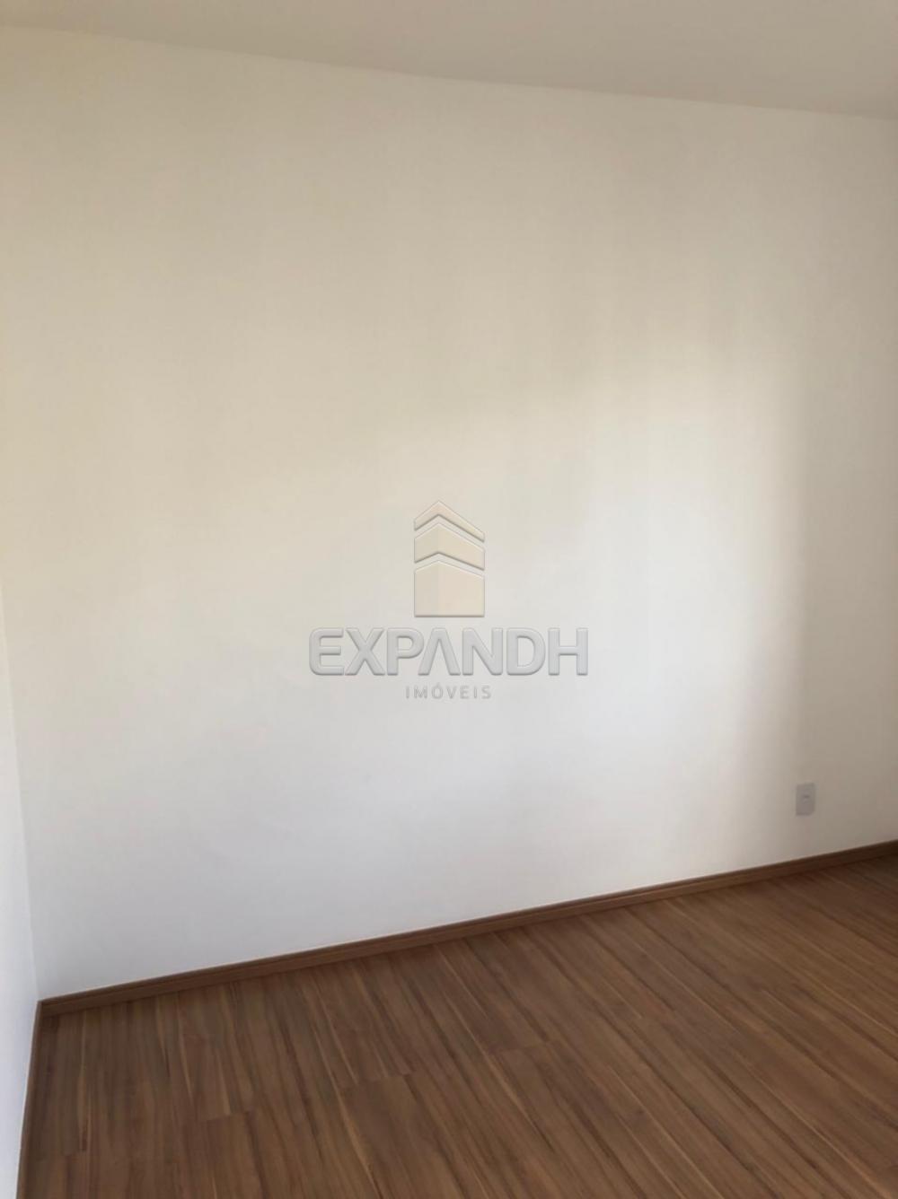 Alugar Apartamentos / Padrão em Sertãozinho R$ 750,00 - Foto 11 Alugar Apartamentos / Padrão em Sertãozinho R$ 750,00 - Foto 11