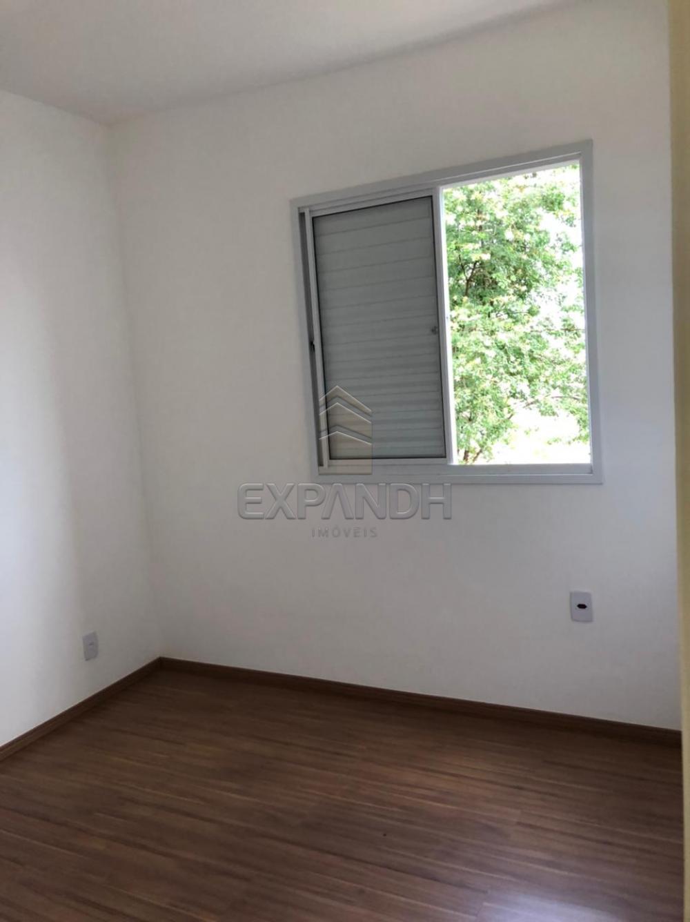 Alugar Apartamentos / Padrão em Sertãozinho R$ 750,00 - Foto 12 Alugar Apartamentos / Padrão em Sertãozinho R$ 750,00 - Foto 12