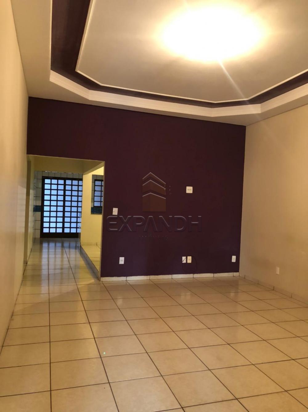 Alugar Casas / Padrão em Sertãozinho R$ 1.400,00 - Foto 4 Alugar Casas / Padrão em Sertãozinho R$ 1.400,00 - Foto 4
