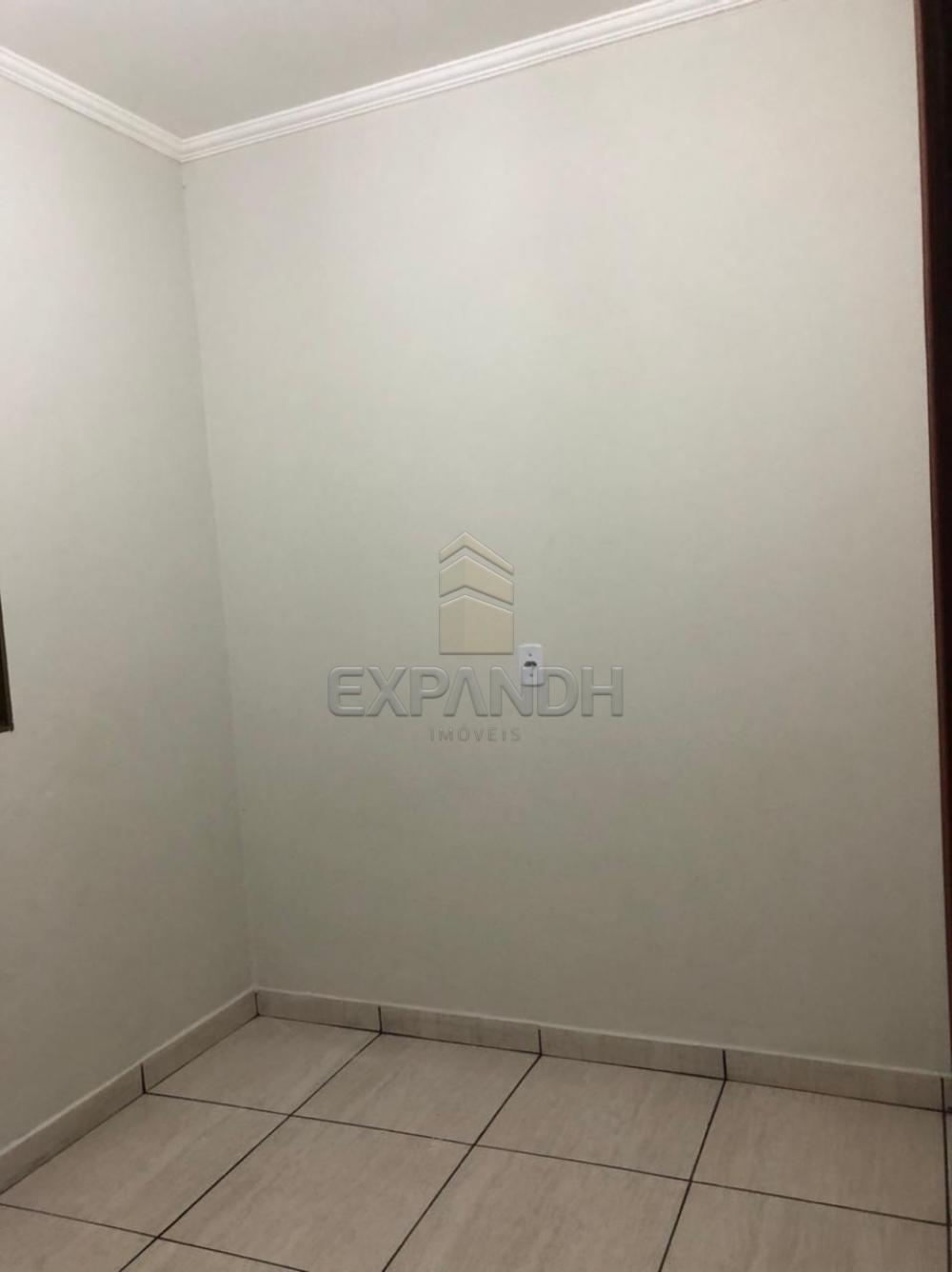 Alugar Casas / Padrão em Sertãozinho R$ 750,00 - Foto 6 Alugar Casas / Padrão em Sertãozinho R$ 750,00 - Foto 6