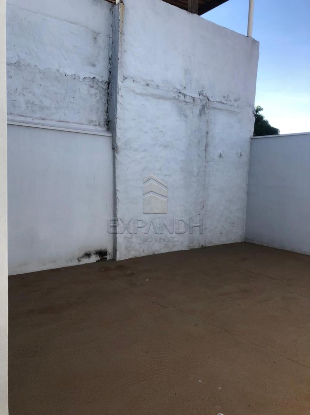 Alugar Casas / Padrão em Sertãozinho R$ 750,00 - Foto 17 Alugar Casas / Padrão em Sertãozinho R$ 750,00 - Foto 17