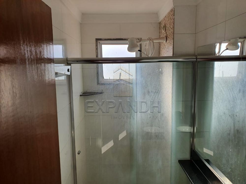 Alugar Apartamentos / Padrão em Sertãozinho R$ 850,00 - Foto 17 Alugar Apartamentos / Padrão em Sertãozinho R$ 850,00 - Foto 17