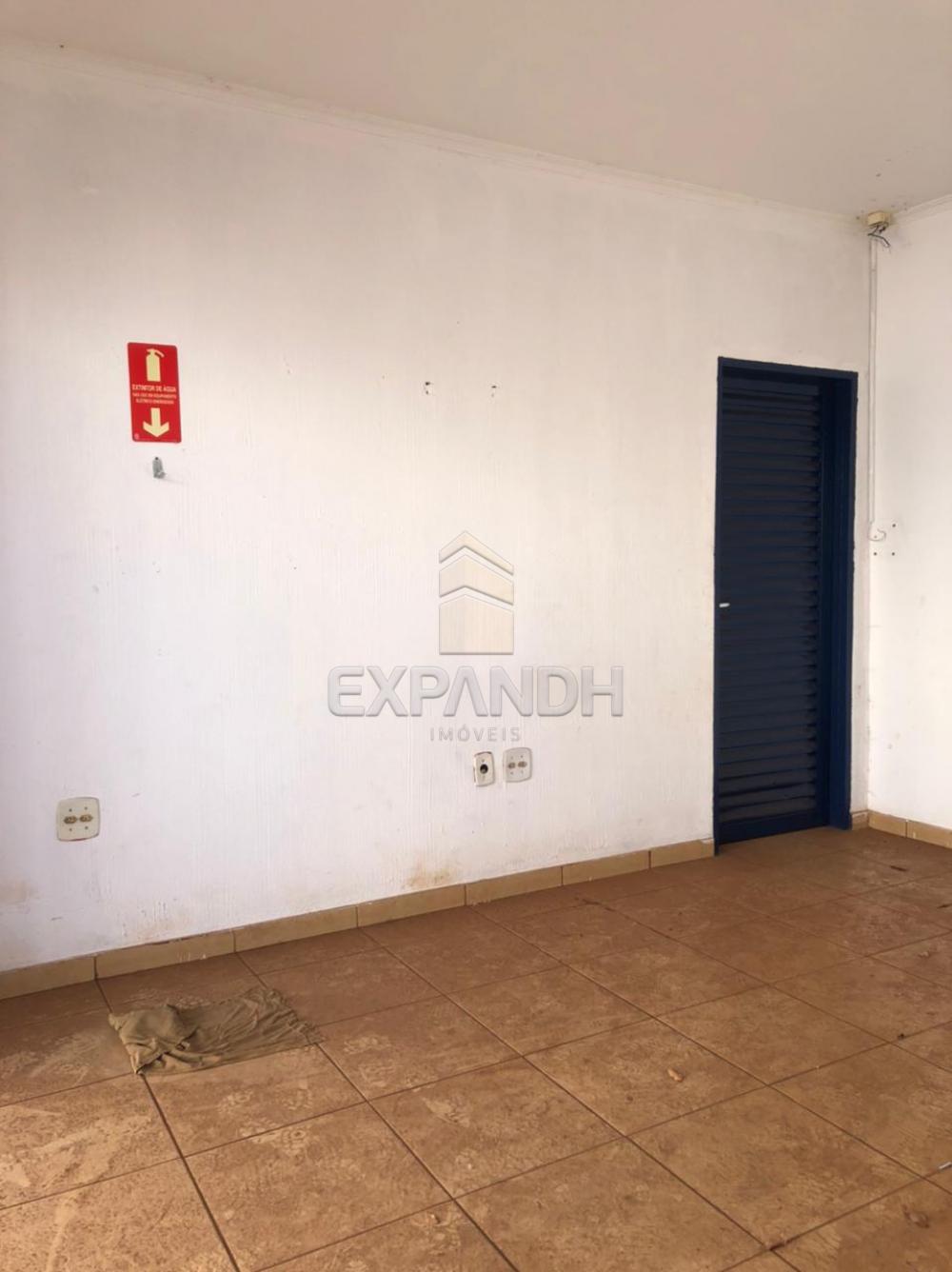 Alugar Comerciais / Ponto Comercial em Sertãozinho R$ 1.600,00 - Foto 3 Alugar Comerciais / Ponto Comercial em Sertãozinho R$ 1.600,00 - Foto 3