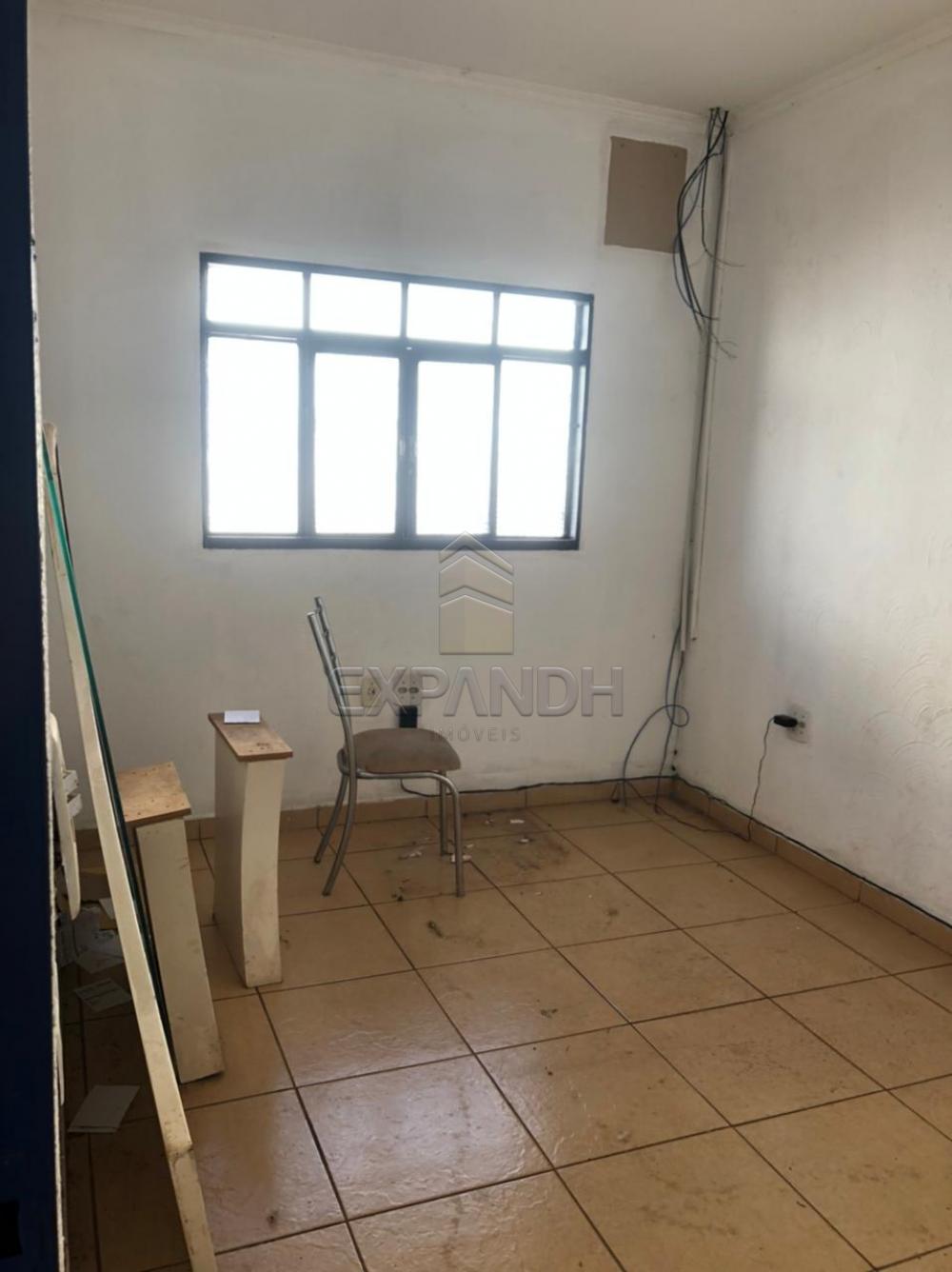 Alugar Comerciais / Ponto Comercial em Sertãozinho R$ 1.600,00 - Foto 4 Alugar Comerciais / Ponto Comercial em Sertãozinho R$ 1.600,00 - Foto 4