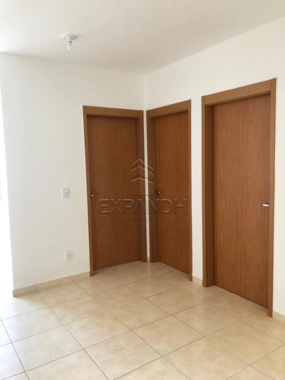 Alugar Apartamentos / Padrão em Sertãozinho R$ 600,00 - Foto 3 Alugar Apartamentos / Padrão em Sertãozinho R$ 600,00 - Foto 3