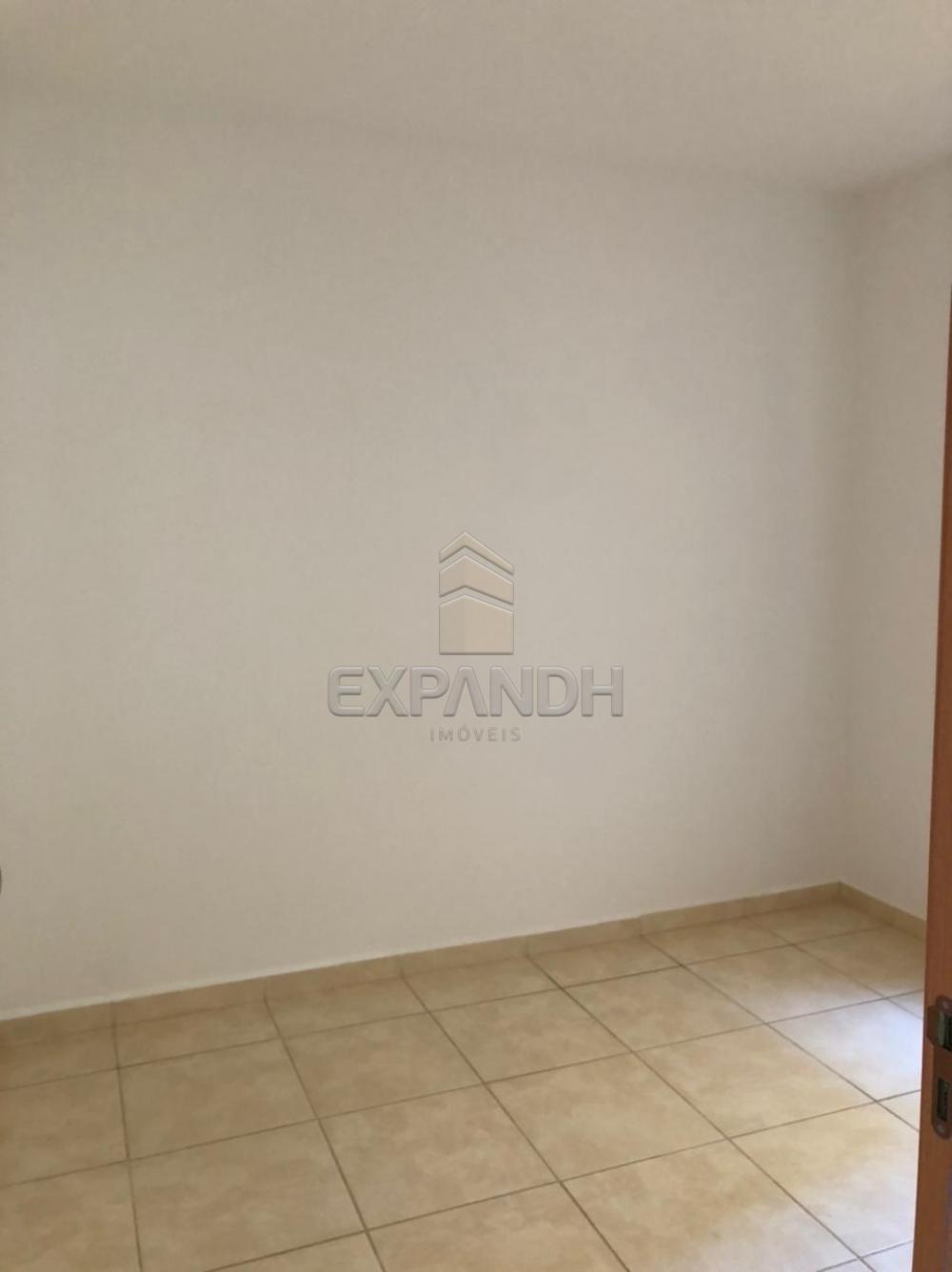 Alugar Apartamentos / Padrão em Sertãozinho R$ 600,00 - Foto 6 Alugar Apartamentos / Padrão em Sertãozinho R$ 600,00 - Foto 6