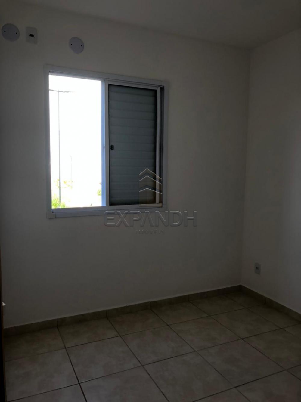 Alugar Apartamentos / Padrão em Sertãozinho R$ 600,00 - Foto 12 Alugar Apartamentos / Padrão em Sertãozinho R$ 600,00 - Foto 12