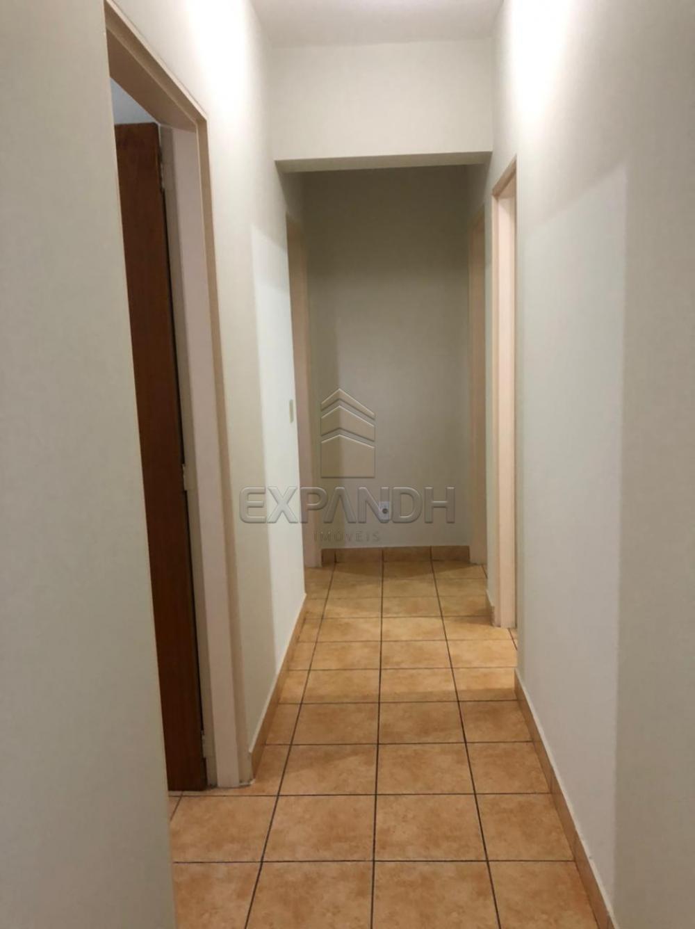 Alugar Apartamentos / Padrão em Sertãozinho R$ 900,00 - Foto 4 Alugar Apartamentos / Padrão em Sertãozinho R$ 900,00 - Foto 4