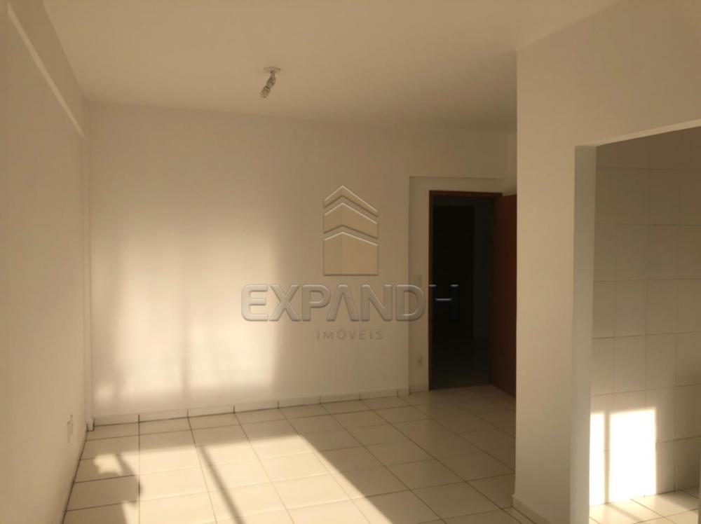 Alugar Apartamentos / Padrão em Sertãozinho R$ 850,00 - Foto 8 Alugar Apartamentos / Padrão em Sertãozinho R$ 850,00 - Foto 8