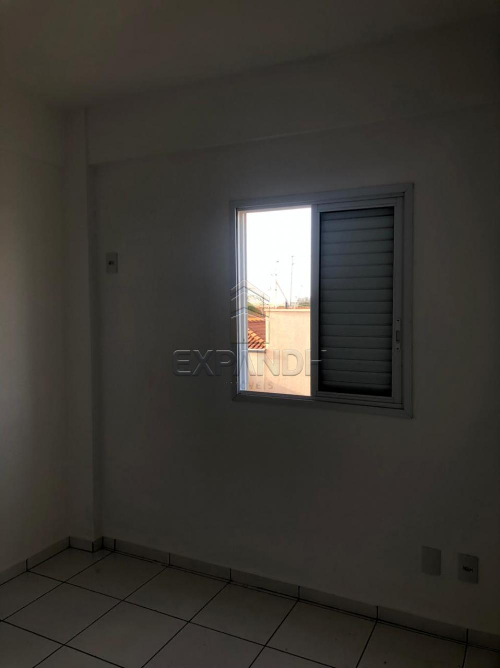 Alugar Apartamentos / Padrão em Sertãozinho R$ 850,00 - Foto 10 Alugar Apartamentos / Padrão em Sertãozinho R$ 850,00 - Foto 10