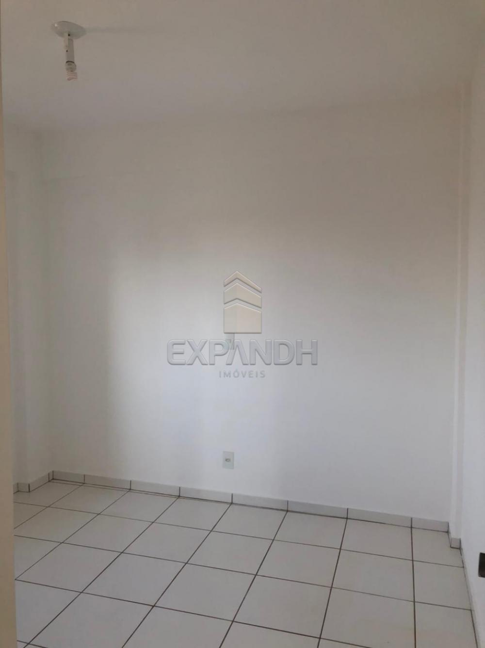 Alugar Apartamentos / Padrão em Sertãozinho R$ 850,00 - Foto 13 Alugar Apartamentos / Padrão em Sertãozinho R$ 850,00 - Foto 13