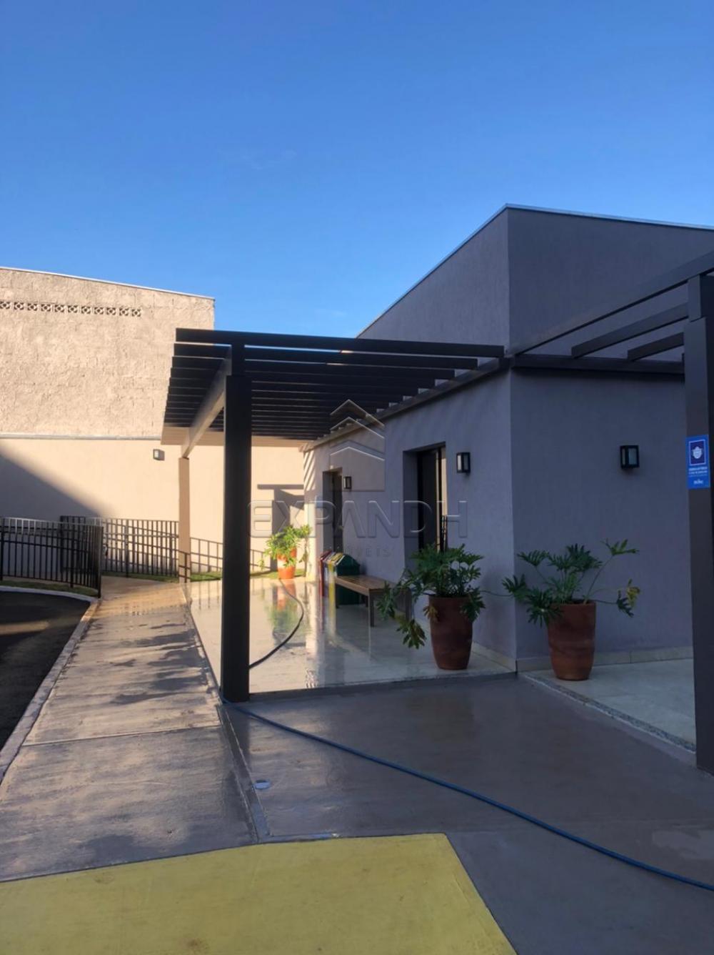 Alugar Apartamentos / Padrão em Sertãozinho R$ 850,00 - Foto 4 Alugar Apartamentos / Padrão em Sertãozinho R$ 850,00 - Foto 4
