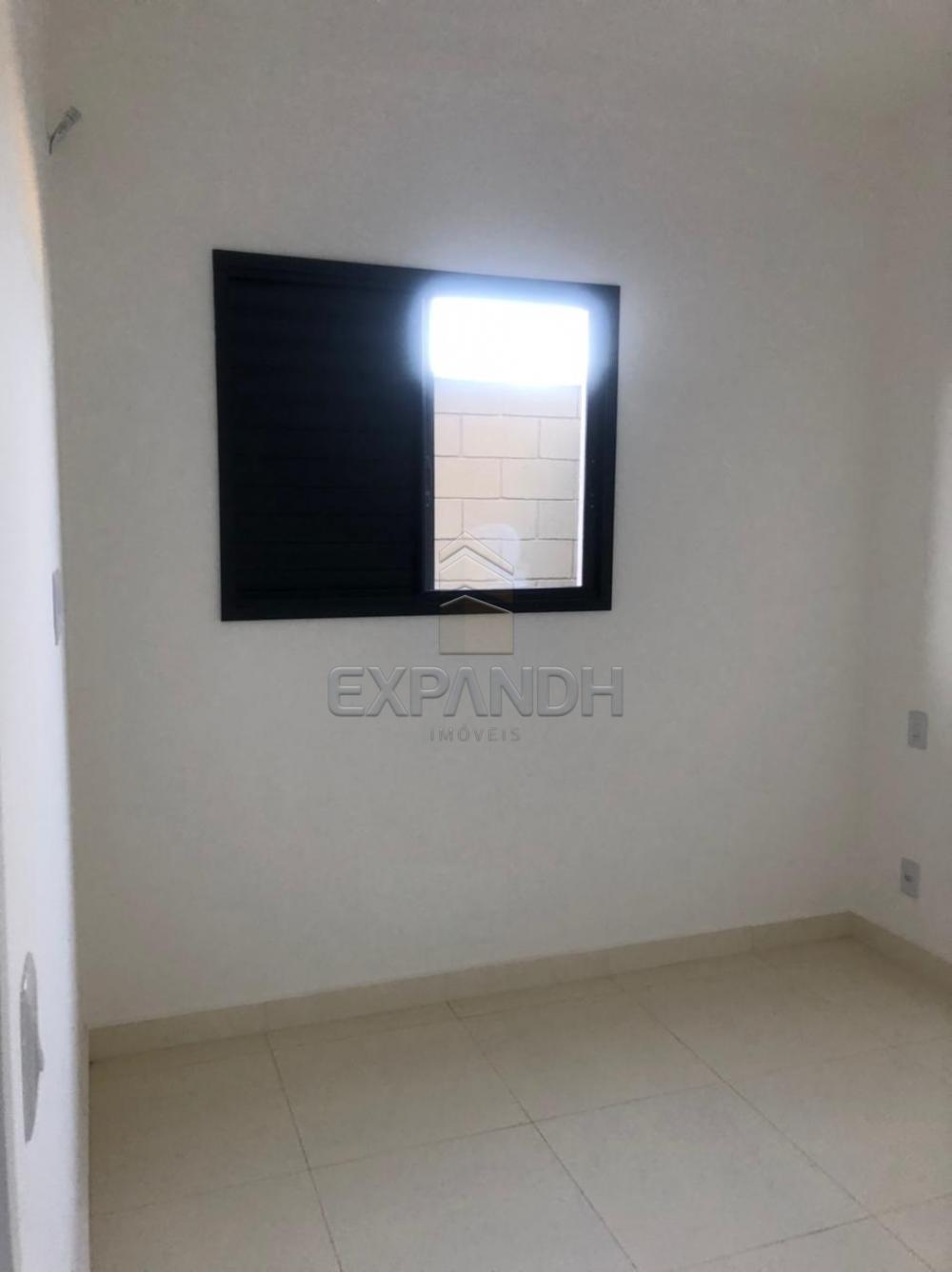 Alugar Apartamentos / Padrão em Sertãozinho R$ 850,00 - Foto 20 Alugar Apartamentos / Padrão em Sertãozinho R$ 850,00 - Foto 20