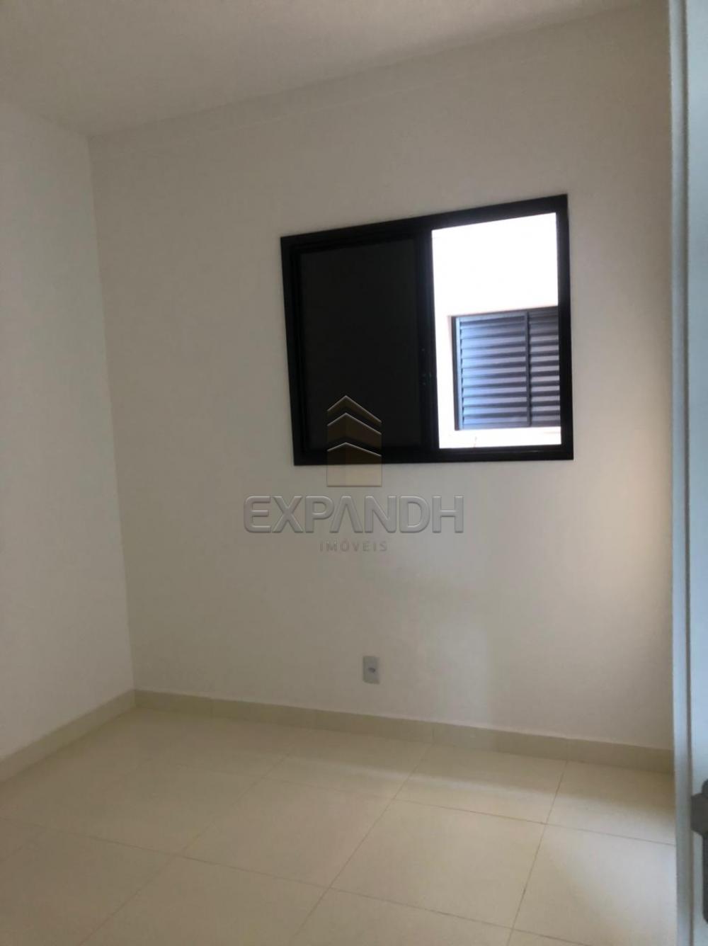 Alugar Apartamentos / Padrão em Sertãozinho R$ 850,00 - Foto 24 Alugar Apartamentos / Padrão em Sertãozinho R$ 850,00 - Foto 24