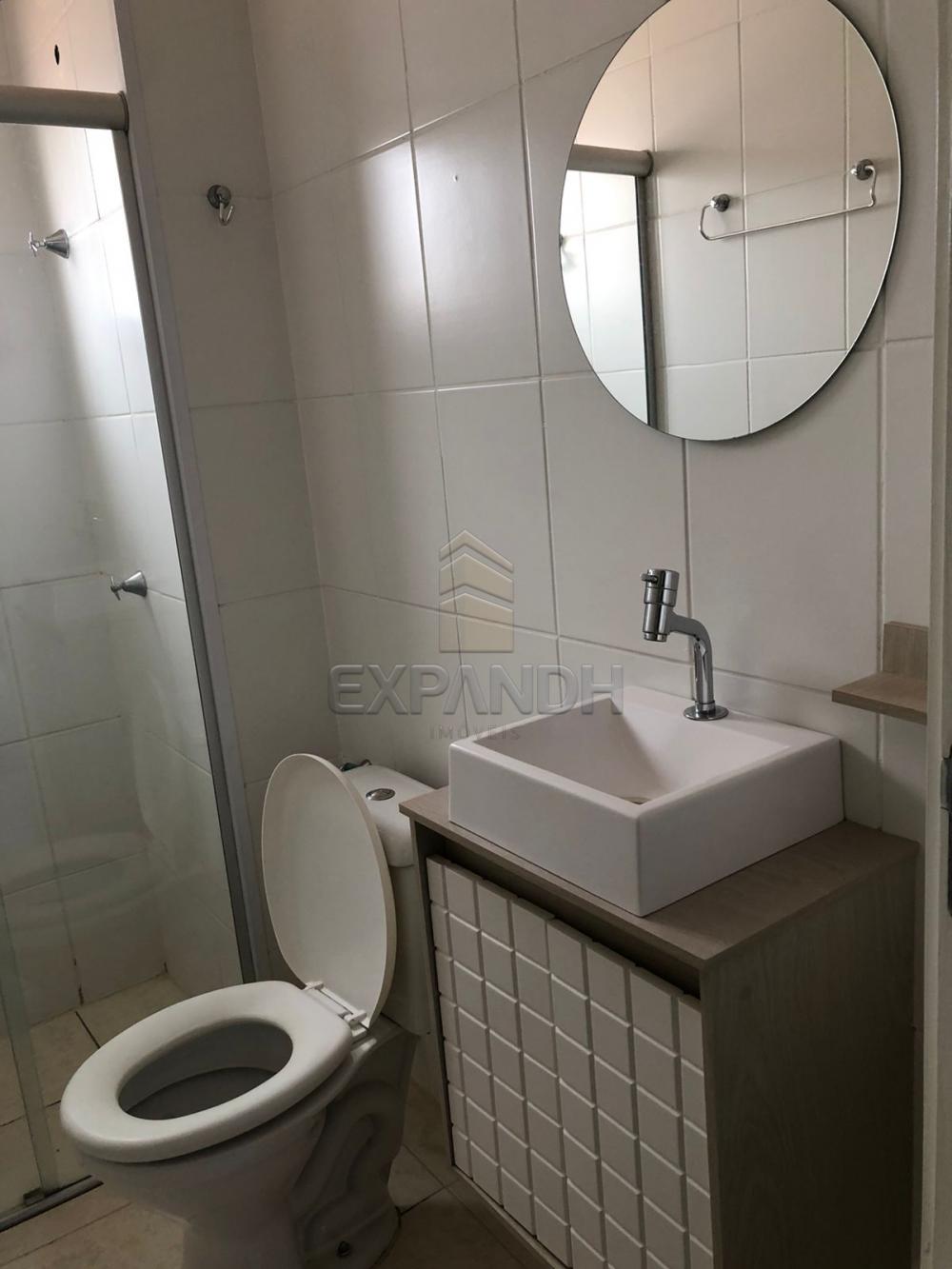 Alugar Apartamentos / Padrão em Sertãozinho R$ 700,00 - Foto 11 Alugar Apartamentos / Padrão em Sertãozinho R$ 700,00 - Foto 11