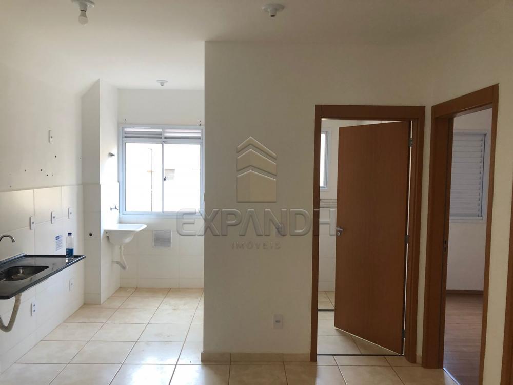Alugar Apartamentos / Padrão em Sertãozinho R$ 800,00 - Foto 2 Alugar Apartamentos / Padrão em Sertãozinho R$ 800,00 - Foto 2