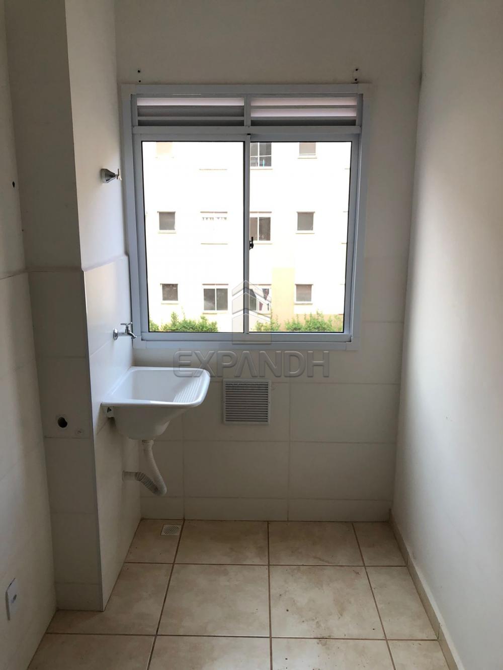 Alugar Apartamentos / Padrão em Sertãozinho R$ 800,00 - Foto 5 Alugar Apartamentos / Padrão em Sertãozinho R$ 800,00 - Foto 5