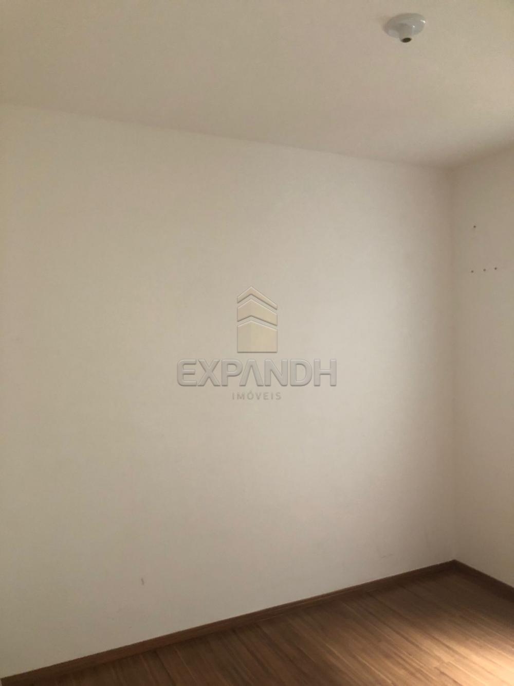 Alugar Apartamentos / Padrão em Sertãozinho R$ 800,00 - Foto 10 Alugar Apartamentos / Padrão em Sertãozinho R$ 800,00 - Foto 10