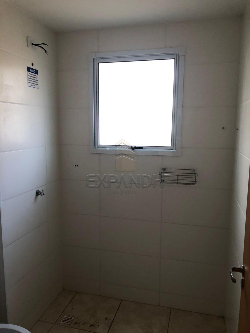 Alugar Apartamentos / Padrão em Sertãozinho R$ 800,00 - Foto 11 Alugar Apartamentos / Padrão em Sertãozinho R$ 800,00 - Foto 11