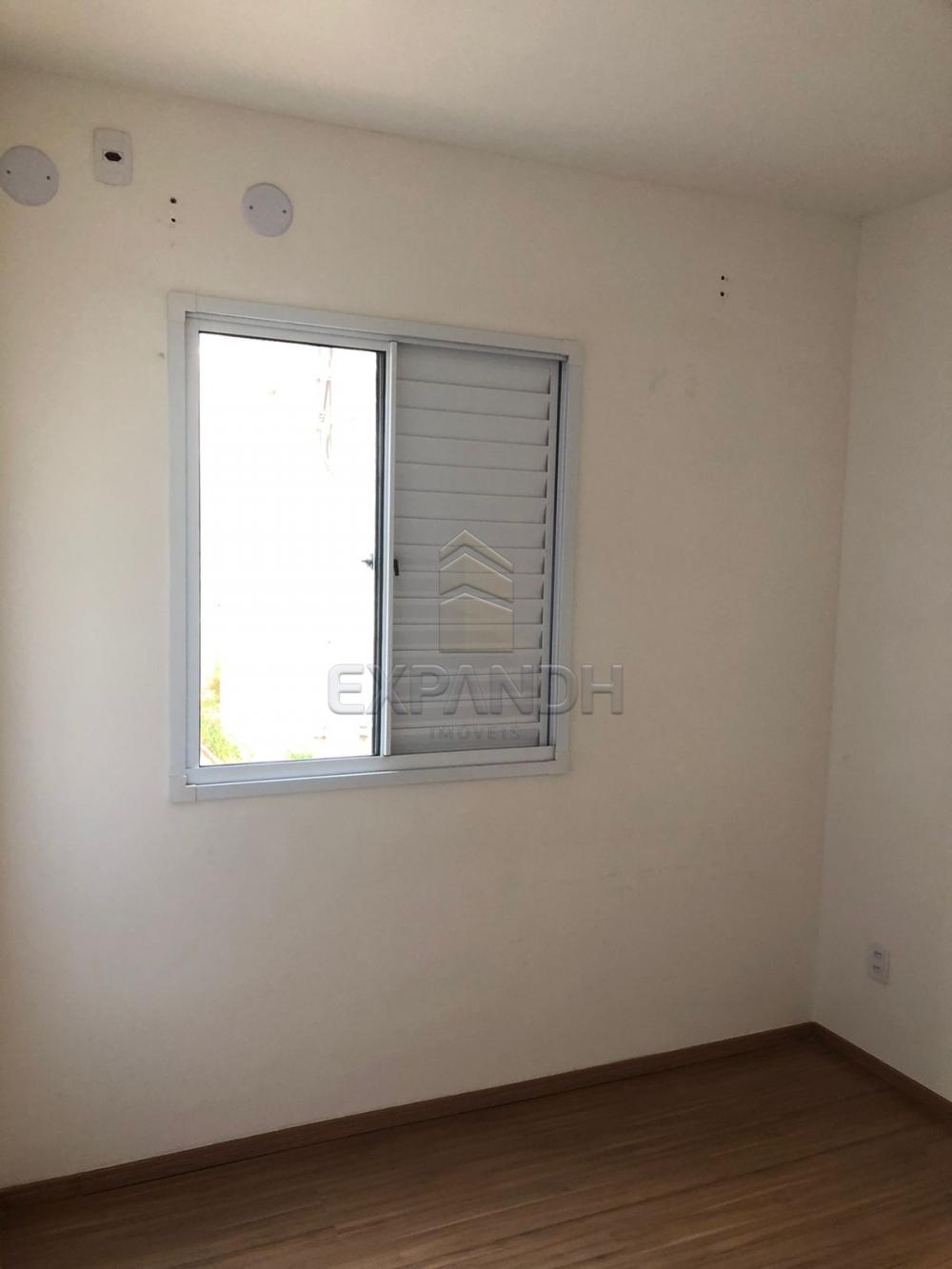 Alugar Apartamentos / Padrão em Sertãozinho R$ 800,00 - Foto 15 Alugar Apartamentos / Padrão em Sertãozinho R$ 800,00 - Foto 15
