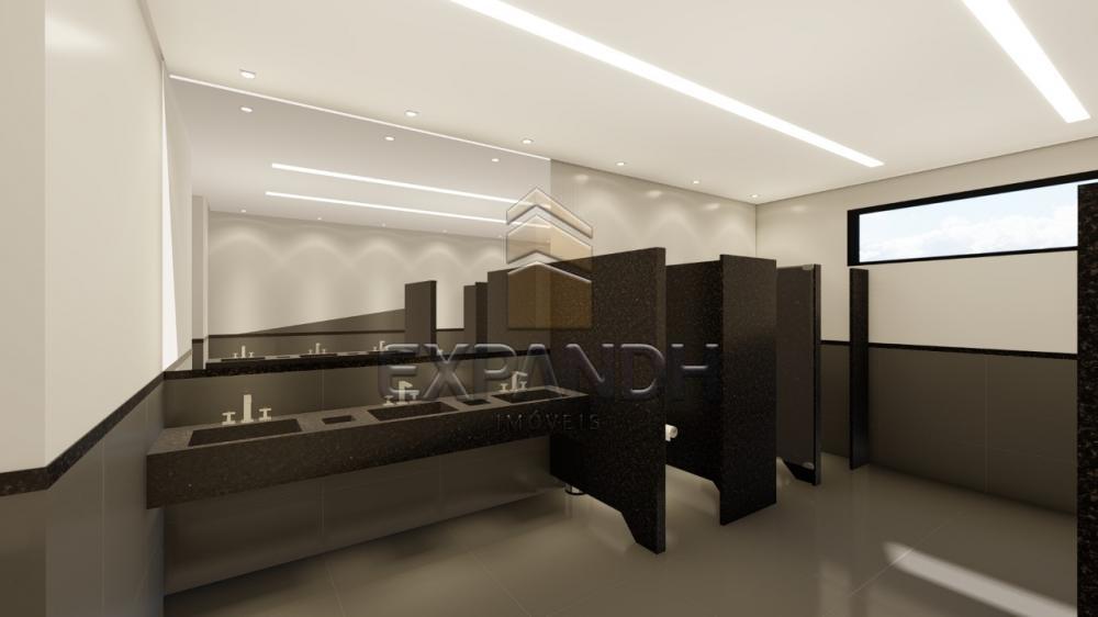 Alugar Comerciais / Ponto Comercial em Sertãozinho R$ 3.040,00 - Foto 4 Alugar Comerciais / Ponto Comercial em Sertãozinho R$ 3.040,00 - Foto 4