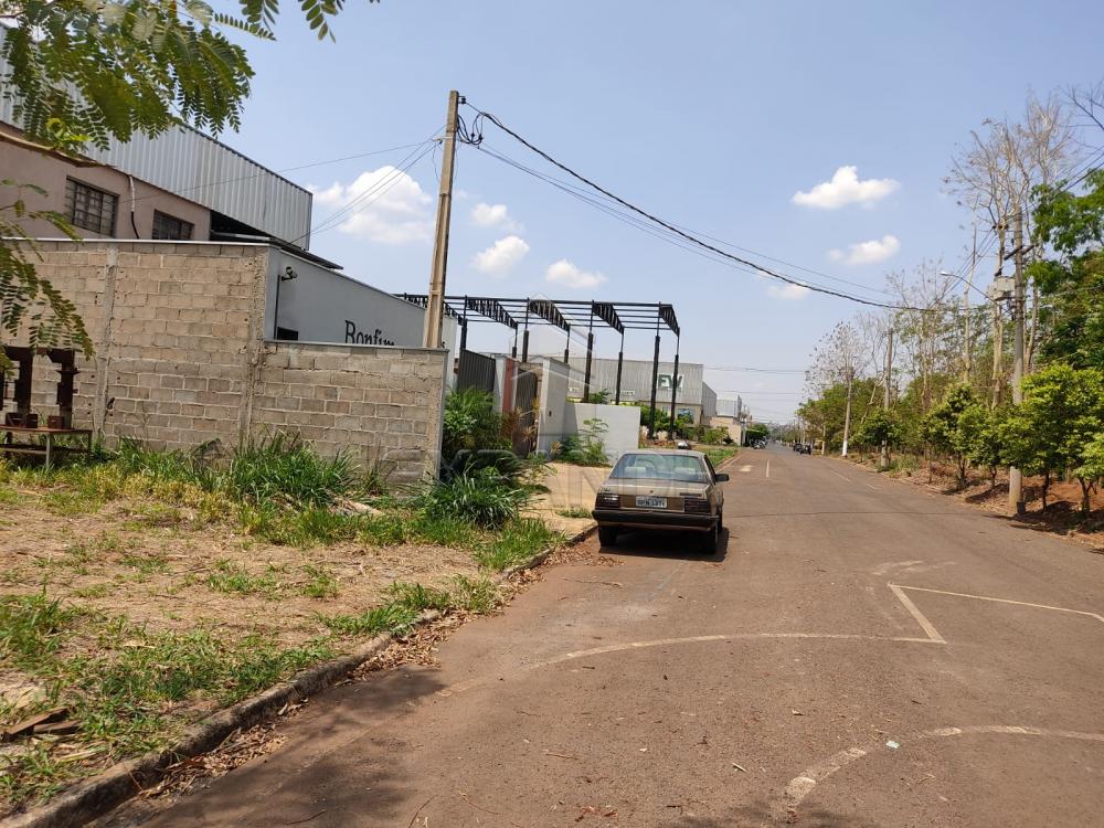 Comprar Terrenos / Industriais em Sertãozinho R$ 260.000,00 - Foto 4 Comprar Terrenos / Industriais em Sertãozinho R$ 260.000,00 - Foto 4