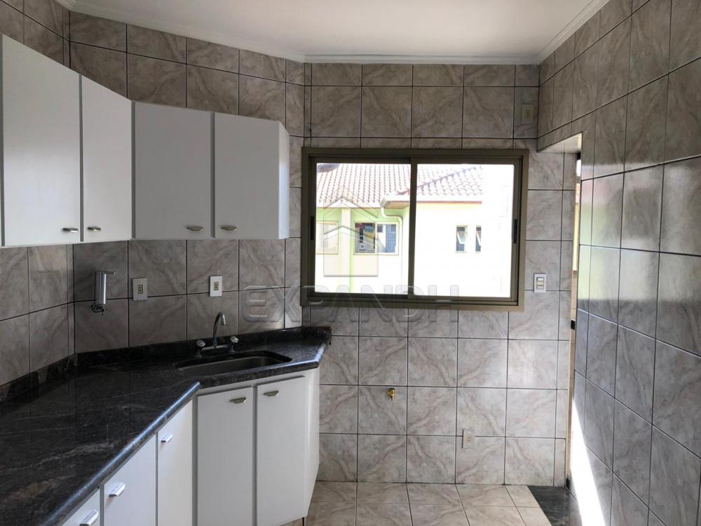 Alugar Apartamentos / Padrão em Sertãozinho R$ 1.728,00 - Foto 6 Alugar Apartamentos / Padrão em Sertãozinho R$ 1.728,00 - Foto 6