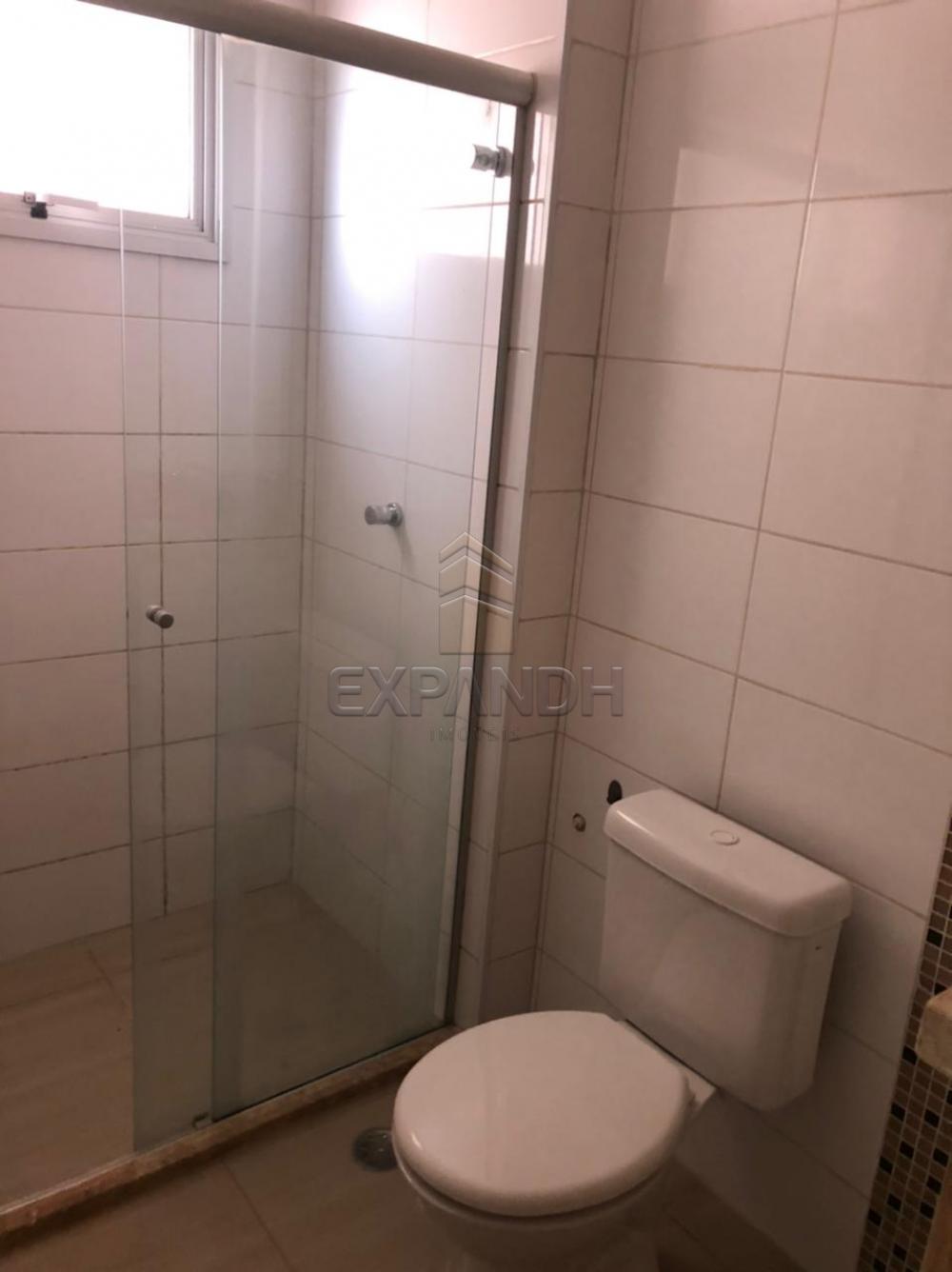 Alugar Apartamentos / Padrão em Sertãozinho apenas R$ 1.250,00 - Foto 18 Alugar Apartamentos / Padrão em Sertãozinho apenas R$ 1.250,00 - Foto 18