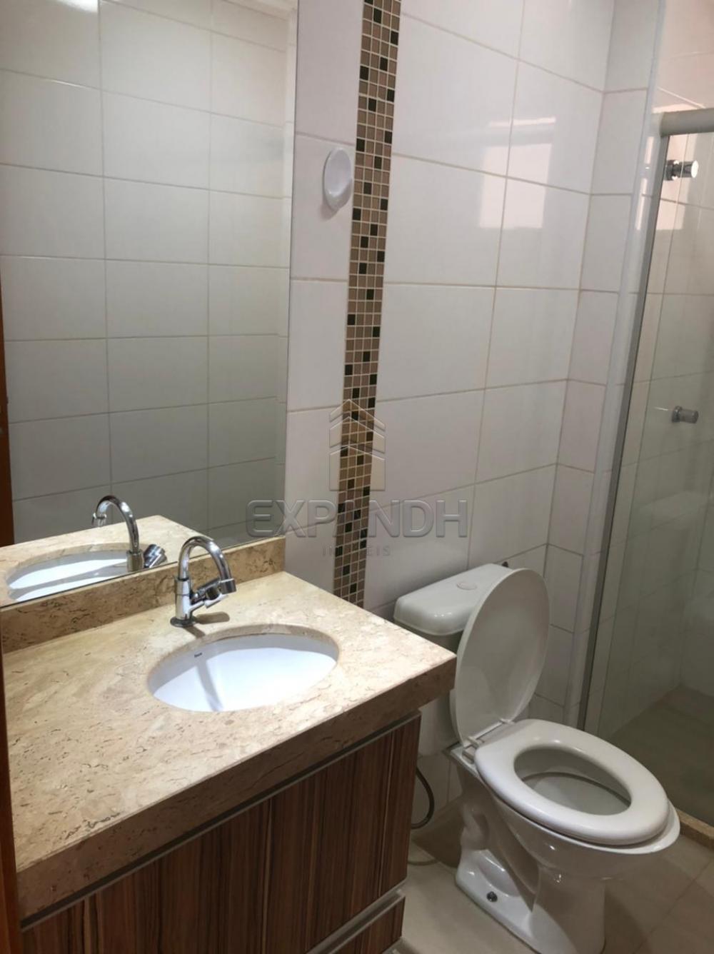 Alugar Apartamentos / Padrão em Sertãozinho apenas R$ 1.250,00 - Foto 12 Alugar Apartamentos / Padrão em Sertãozinho apenas R$ 1.250,00 - Foto 12