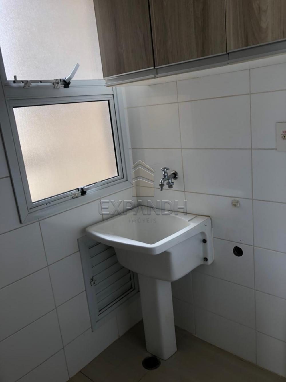 Alugar Apartamentos / Padrão em Sertãozinho apenas R$ 1.250,00 - Foto 9 Alugar Apartamentos / Padrão em Sertãozinho apenas R$ 1.250,00 - Foto 9