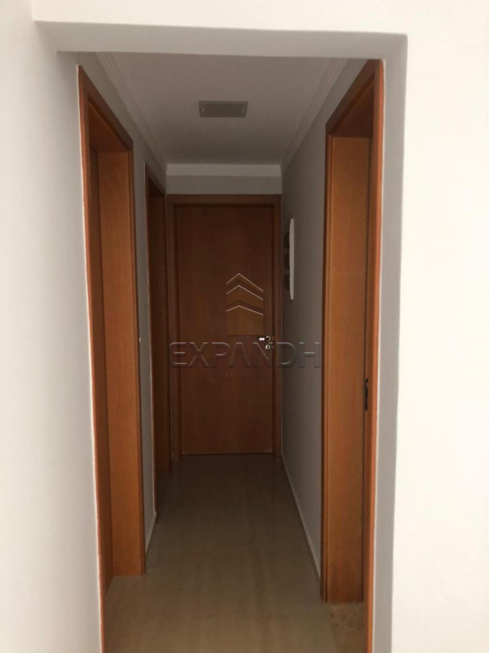 Alugar Apartamentos / Padrão em Sertãozinho apenas R$ 1.250,00 - Foto 10 Alugar Apartamentos / Padrão em Sertãozinho apenas R$ 1.250,00 - Foto 10
