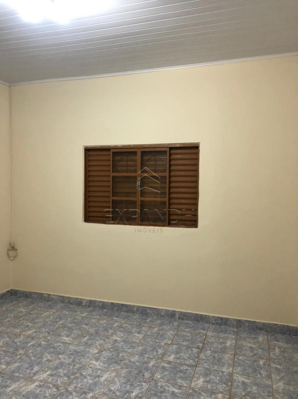 Alugar Casas / Padrão em Sertãozinho R$ 925,00 - Foto 9 Alugar Casas / Padrão em Sertãozinho R$ 925,00 - Foto 9